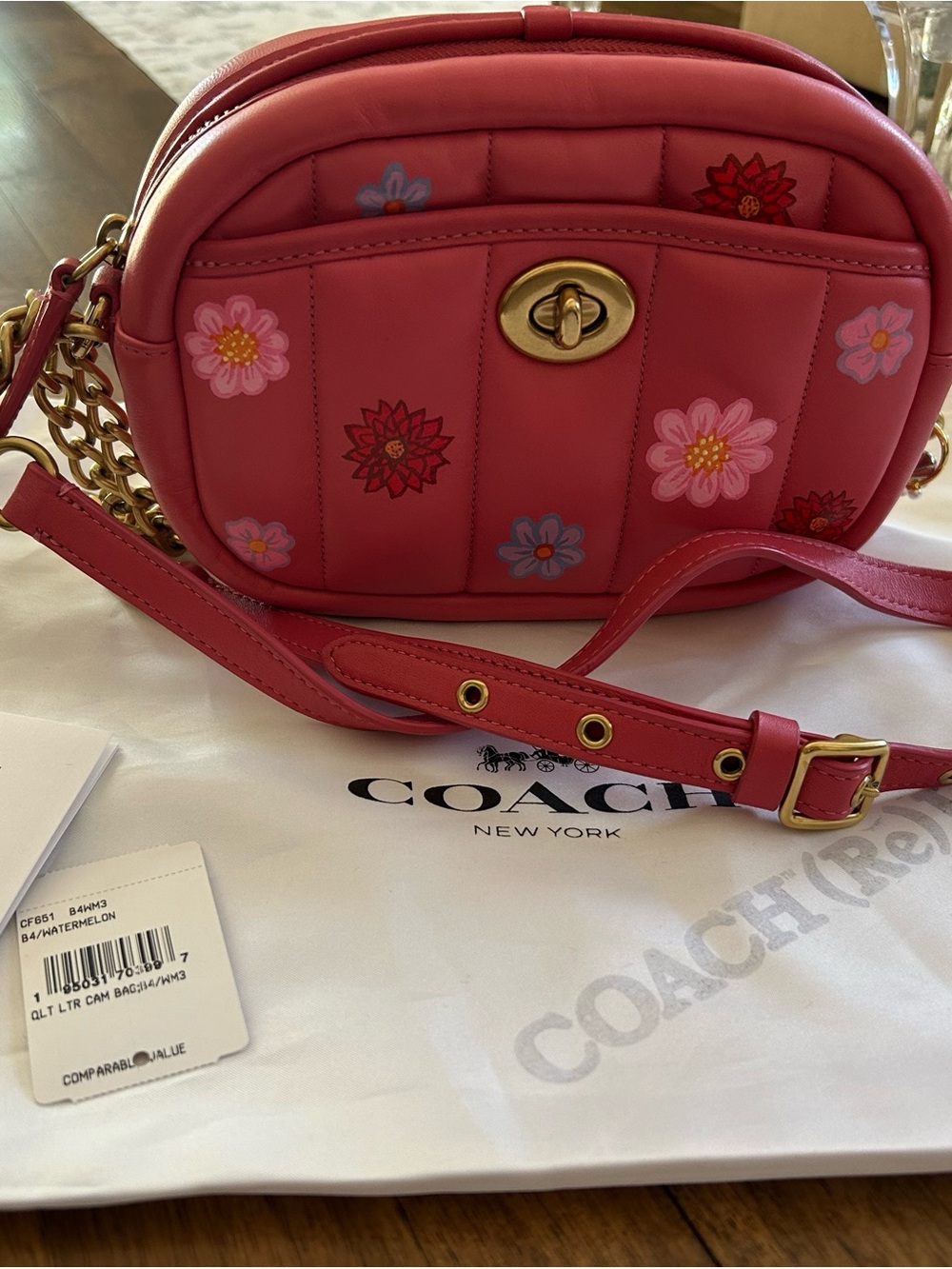 Coach (Re) Loved Watermelon hand painted Floral quilted leather Crossbody Bag